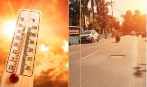 summer.jpg