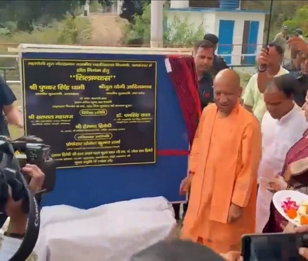 yogi-3.jpeg