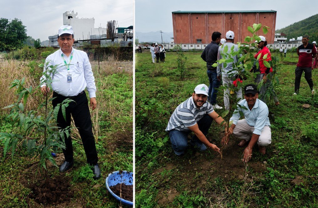 tree-plantation.jpg