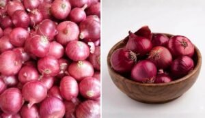 onion.jpg